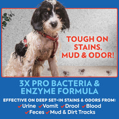 OUT! PetCare carpet and upholstery cleaner freshens rugs, couches, and bedding