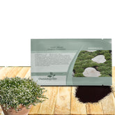 Outsidepride Irish Moss seed packet close-up showing abundant seeds for lawn alternative