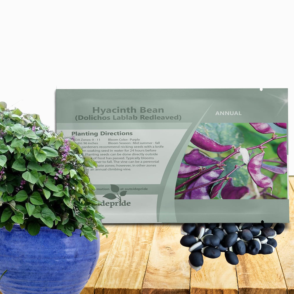 Outsidepride red-lablab hyacinth bean seeds packaging, ready for vibrant trellis display.