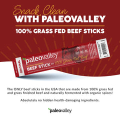 Paleovalley fermented beef sticks illustrate probiotic-rich traditional preparation.