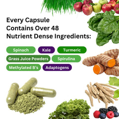 Paradise Herbs Earth's Blend 48 organic superfoods ingredients support balanced nutrition