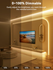 PAUTIX COB LED strip with CRI93+ for true color rendering