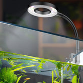 Pawfly 6W LED aquarium light close-up showing full spectrum for vibrant colors and plant growth.
