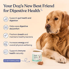 Pawfy Probiotics for Dogs bacon chews closeup promotes tasty, easy daily supplementation.