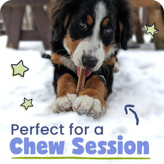 Pawstruck rawhide-free chew for mess-free dog entertainment.