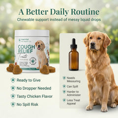 PawVital easy-admin-chew for effortless dosing and pet approval.