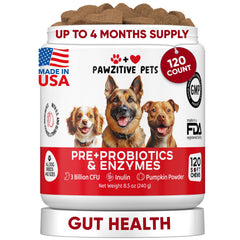 Pawzitive Pets probiotic chews for dogs support gut health and immunity.