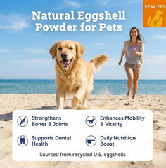 PEAK PET poudre coquilles œuf et cuillère doseuse, dosage précis pour les repas.