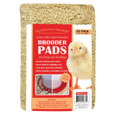 Pecking Order brooder pads with excelsior provide gentle footing for newborn chicks.