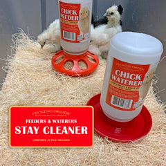 Pecking Order brooder pads show healthy footing with low-dust bedding.