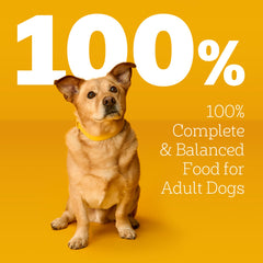 Pedigree Choice Cuts in Gravy Beef Noodles Vegetables pouch with balanced texture