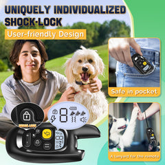 Pedono three-channel training setup for multiple dogs.
