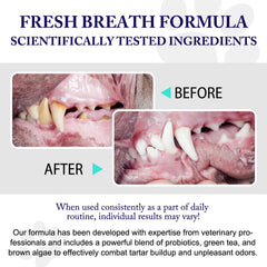Peesnb dog teeth cleaning powder scoop included for quick, mess-free dosing.