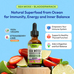 Amber sea moss liquid close-up highlighting natural color and absorption cue