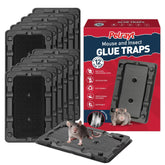 Pelrayt glue mouse traps indoor pack for quick, non-toxic rodent control.
