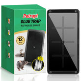 Pelrayt glue mouse traps indoors on the kitchen counter for quick, safe pest control.