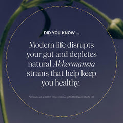 Pendulum Akkermansia probiotic packaging emphasizing non-GMO and third-party testing.