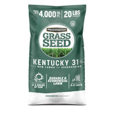 Pennington Kentucky 31 Tall Fescue seed bag 20 lb for durable lawns.