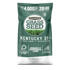 Pennington Kentucky 31 Tall Fescue seed bag 20 lb for durable lawns.