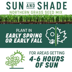 Pennington Smart Seed seed coat close-up highlighting enhanced establishment.