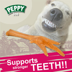 Chew-friendly dental hygiene action with PEPPY DOG treats