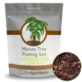 Perfect Plants Money Tree soil bag ready for indoor planting to support healthy roots