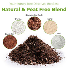 Close-up of coco coir, pine bark, and perlite in Perfect Plants potting soil