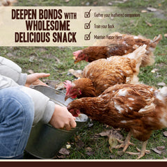 Pet Faves dried mealworms protein-rich feed for poultry, supporting growth and feather development.