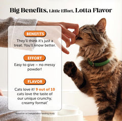 Omega-3s and green-lipped mussel in Pet Honesty formula for joints.
