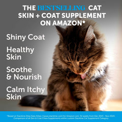 Pet Honesty Cat Skin & Coat Chews with omega-3 rich salmon oil for healthy coat.