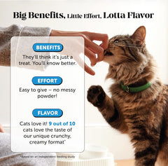 Pet Honesty Vitamin C & E blend in chews for coat wellness.