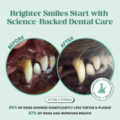 Pet Honesty dental powder ingredient panel highlights kelp and mint for a natural formula.