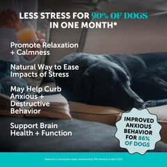 Pet Honesty calming chews bottle on shelf, supporting relaxed car rides