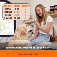 Pet Honesty senior hip joint chews support mobility in dogs.