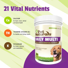 Pet Naturals Daily Multi chews presented as a tasty daily supplement for dogs.