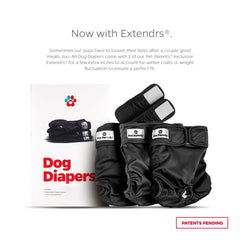 Pet Parents Washable Dog Diapers 3-pack on dog showing fit