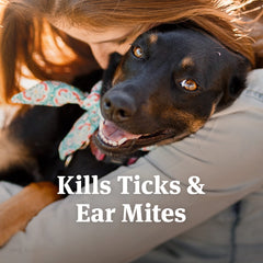 PetArmor ear drops applied to a dog's ear for mite relief.