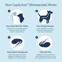 PetArmor CapAction box packaging, ready-to-use flea relief for dogs.