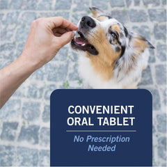 CAPACTION tablet in hand ready for simple at-home dosing