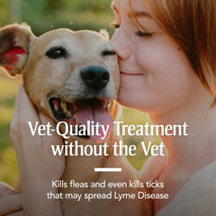 PetArmor for Dogs dry-skin-application-site highlights safe skin contact.