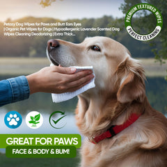 Petazy dog wipes face - gentle care around eyes and muzzle