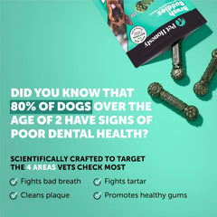 Pet Honesty Brush Buddies teeth cleaner for dogs promoting cleaner teeth