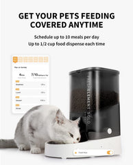 PETKIT automatic feeder 3L capacity—stores food for days away.