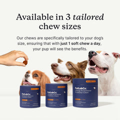 PetLab Co Allergy & Immune Daily Probiotics for Dogs — close-up shows texture and flavor