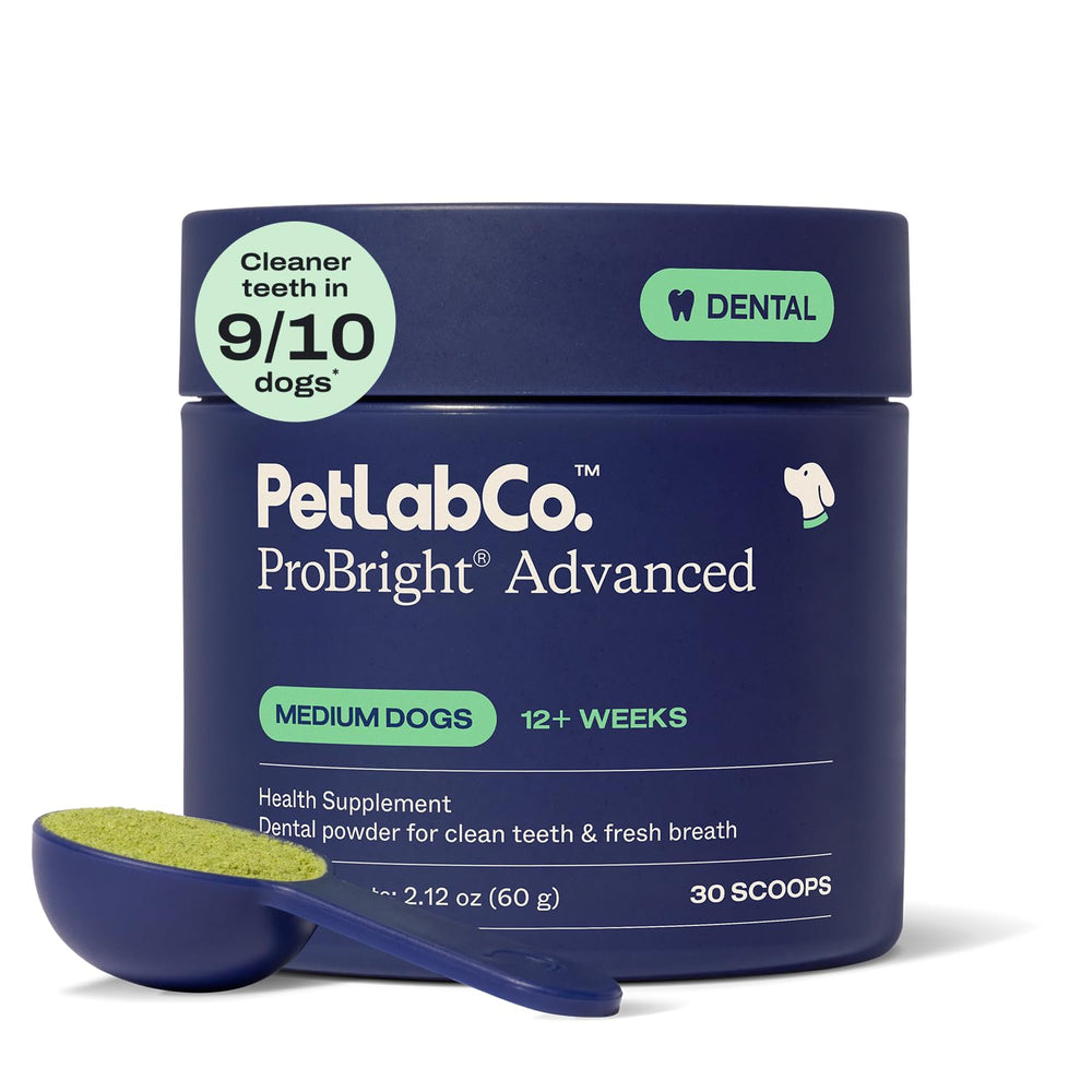 PetLab Co. ProBright dental powder with medium dog scoop for easy daily dosing and fresh breath.