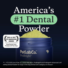 PetLab Co ProBright powder sprinkled over dog food for quick care