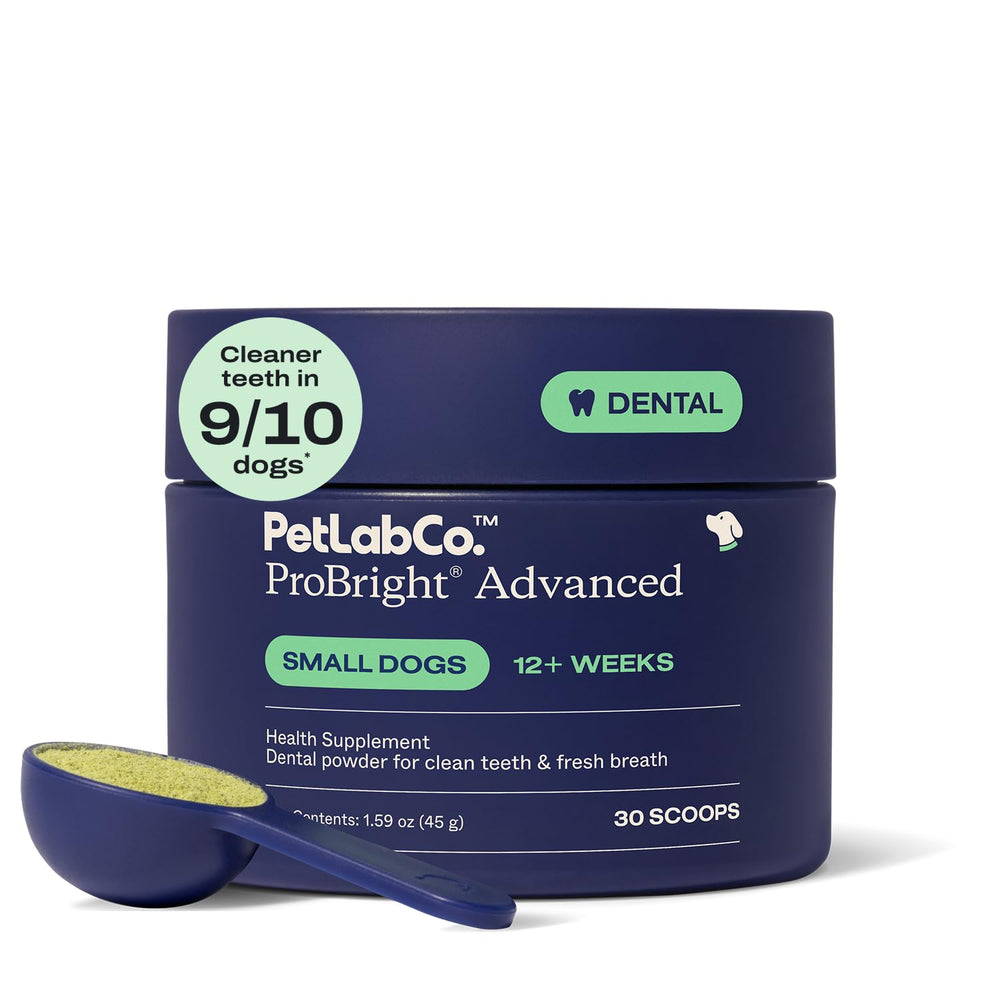 PetLab Co ProBright dental powder tub ready for daily dog care