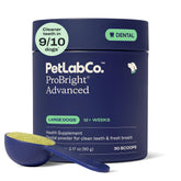 PetLab Co ProBright large dog tub front for easy daily dosing.