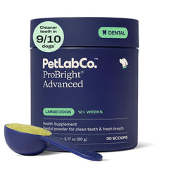 PetLab Co ProBright large dog tub front for easy daily dosing.