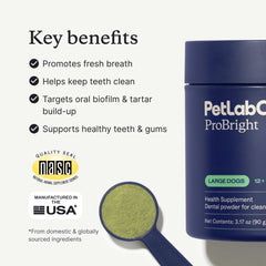 PetLab Co. ProBright powder sprinkled on teeth for quick, even coverage.